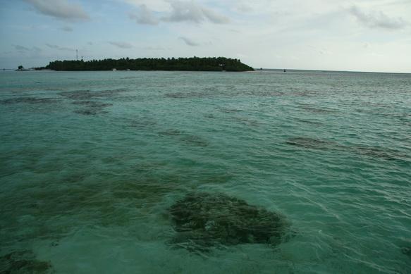 IMG_8776.JPG